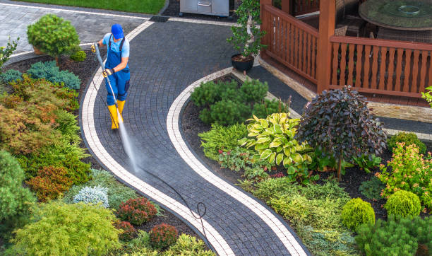 Best Roof Pressure Washing  in Burlington, OH