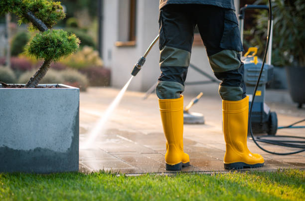 Best Pressure Washing Company Near Me  in Burlington, OH